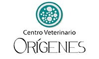 cv origenes