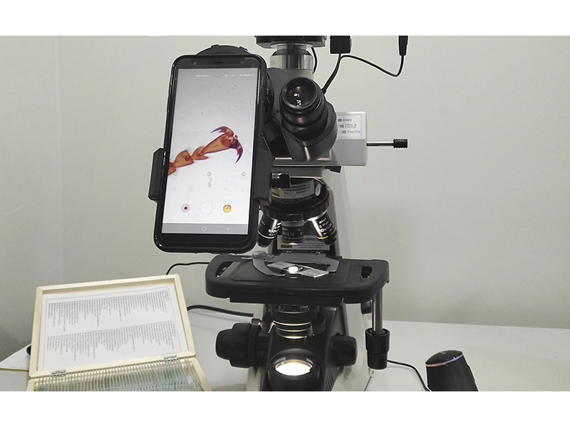 Adaptador universal de microscopios para celular